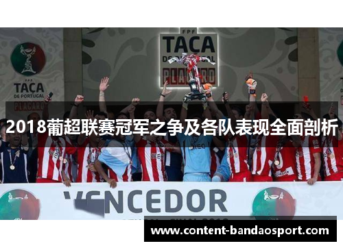 2018葡超联赛冠军之争及各队表现全面剖析