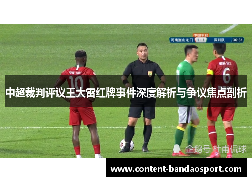 中超裁判评议王大雷红牌事件深度解析与争议焦点剖析
