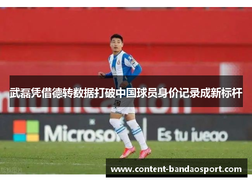 武磊凭借德转数据打破中国球员身价记录成新标杆