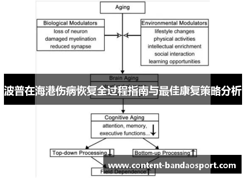 波普在海港伤病恢复全过程指南与最佳康复策略分析