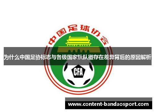 为什么中国足协标志与各级国家队队徽存在差异背后的原因解析