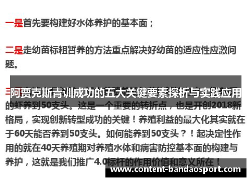 阿贾克斯青训成功的五大关键要素探析与实践应用