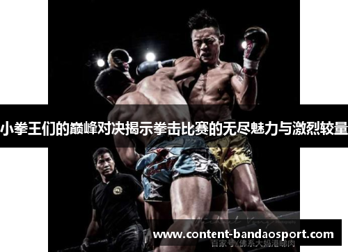 小拳王们的巅峰对决揭示拳击比赛的无尽魅力与激烈较量